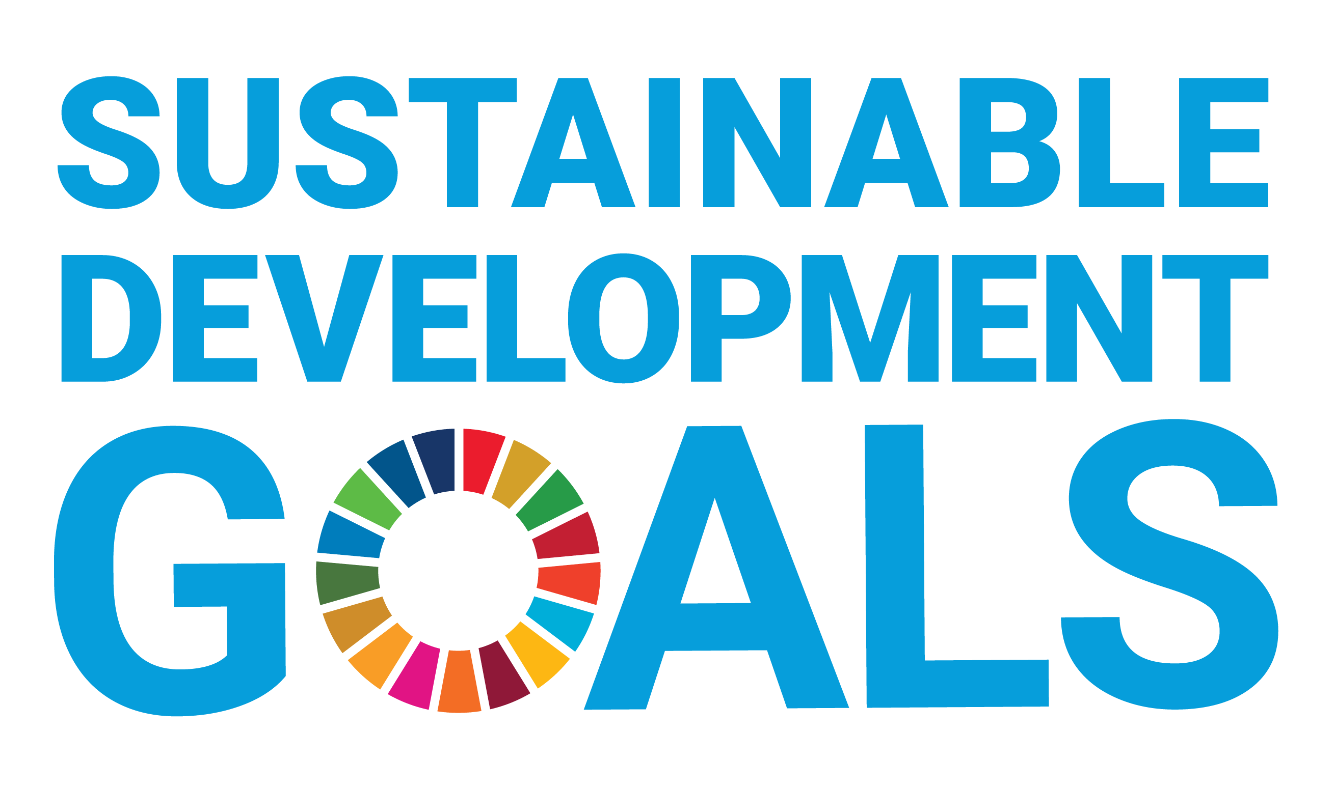 UNSDG Logo