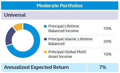 moderate portfolio