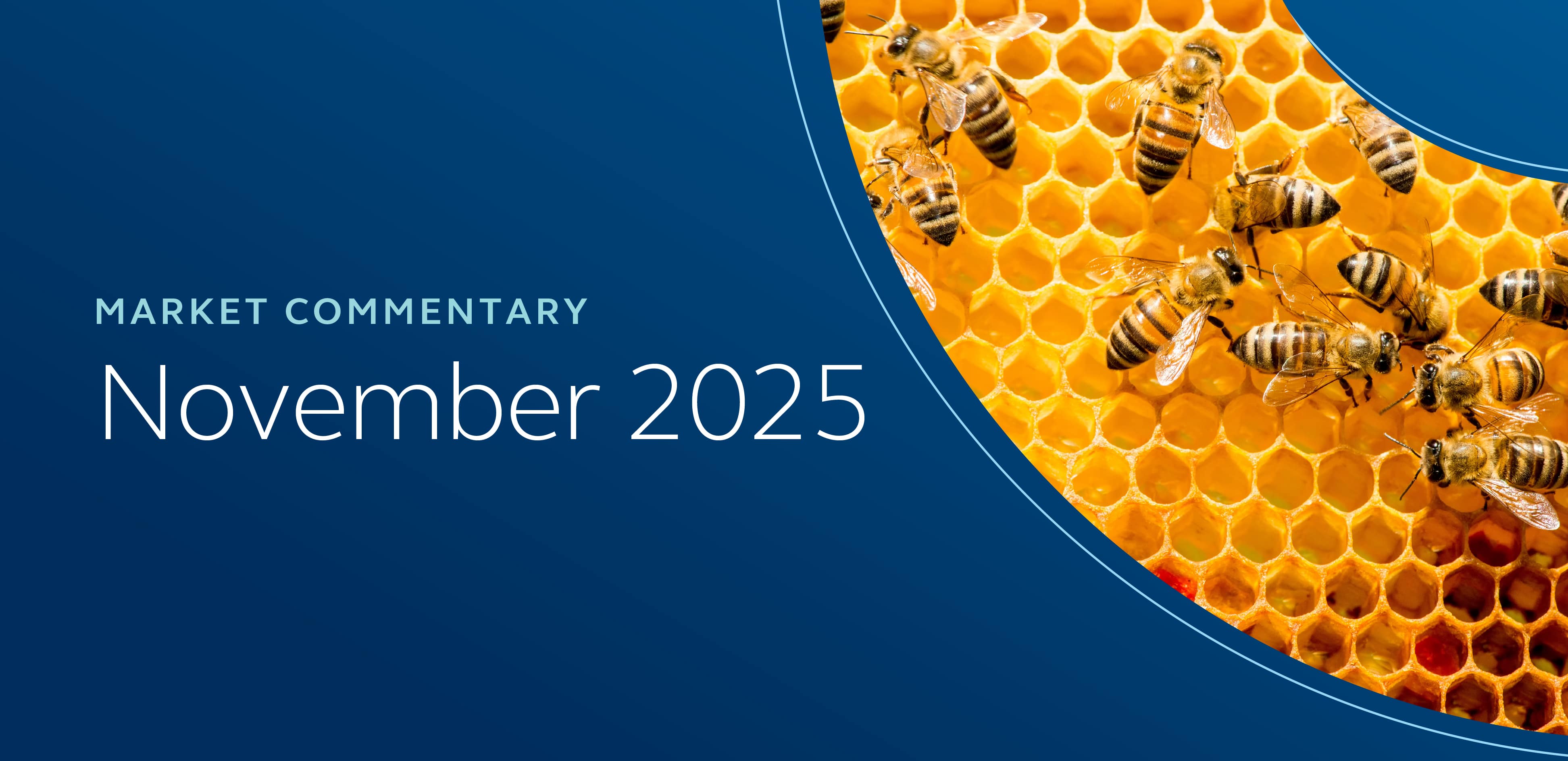 Market Commentary November 2025 Web Thumbnail