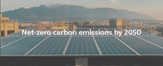 Net zero carbon emissions by 2050