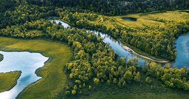 Sustainable investing