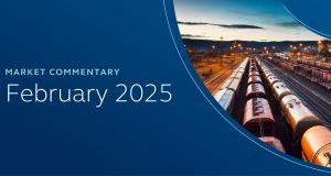 Market Commentary February 2025 Web Thumbnail