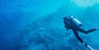 27 September 2024 Weekly Market Recap