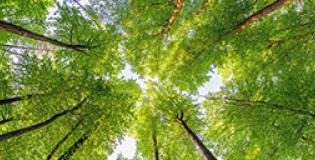 13 October Weekly Market Recap