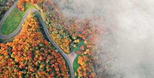 1 September Weekly Market Recap