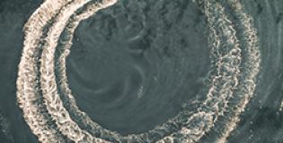 15 September Weekly Market Recap