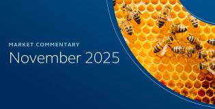 Market Commentary November 2025 Web Thumbnail