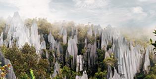 16 June Weekly Market Recap