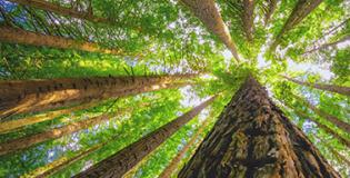 22 November 2024 Weekly Market Recap