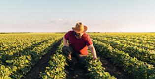 27 January 2023 Weekly Market Recap