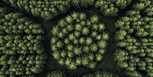 Market Commentary: May 2022